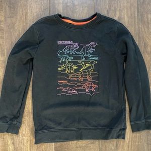 Dinosaur Sweater